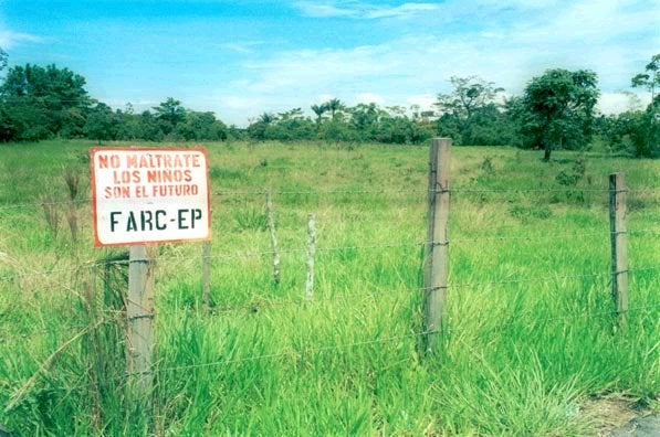 ni&ntilde;os combatientes