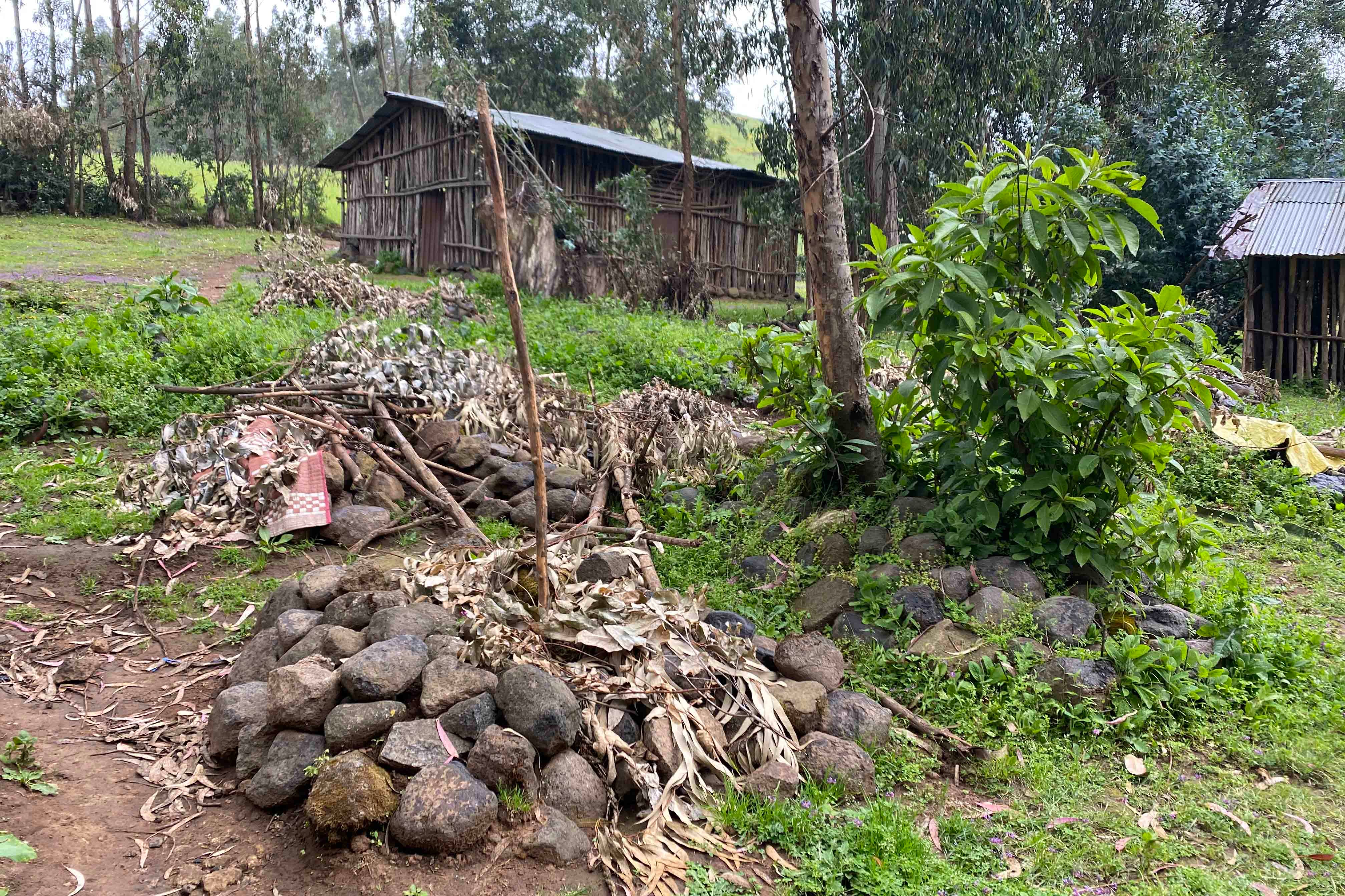 The shallow grave of an unidentified person killed during fighting in the village of Chenna, in the Amhara region of Ethiopia. Residents said it was dug in early September 2021 after Tigrayan fighters left the area. © 2021 Tom Gardner
