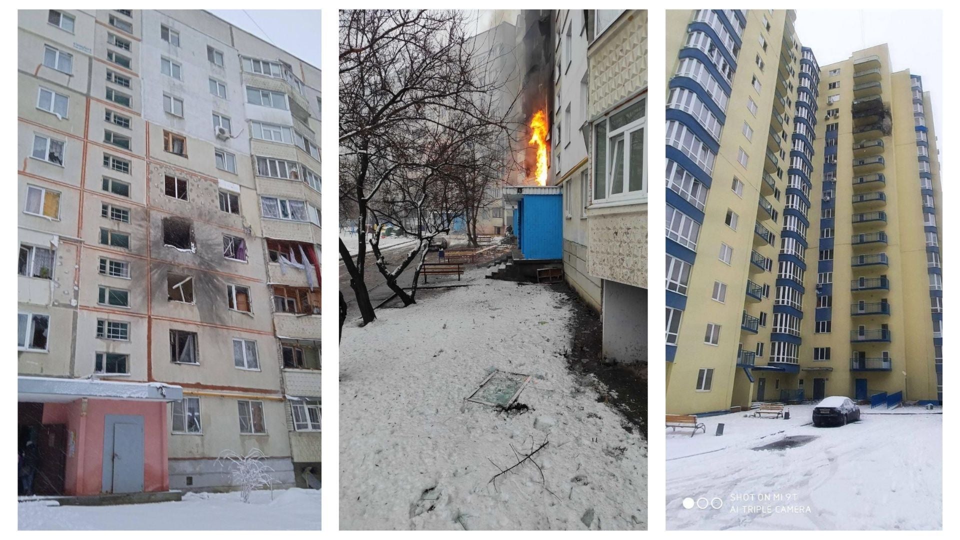 Фотографии предоставлены Сергеем с Родниковой 9.