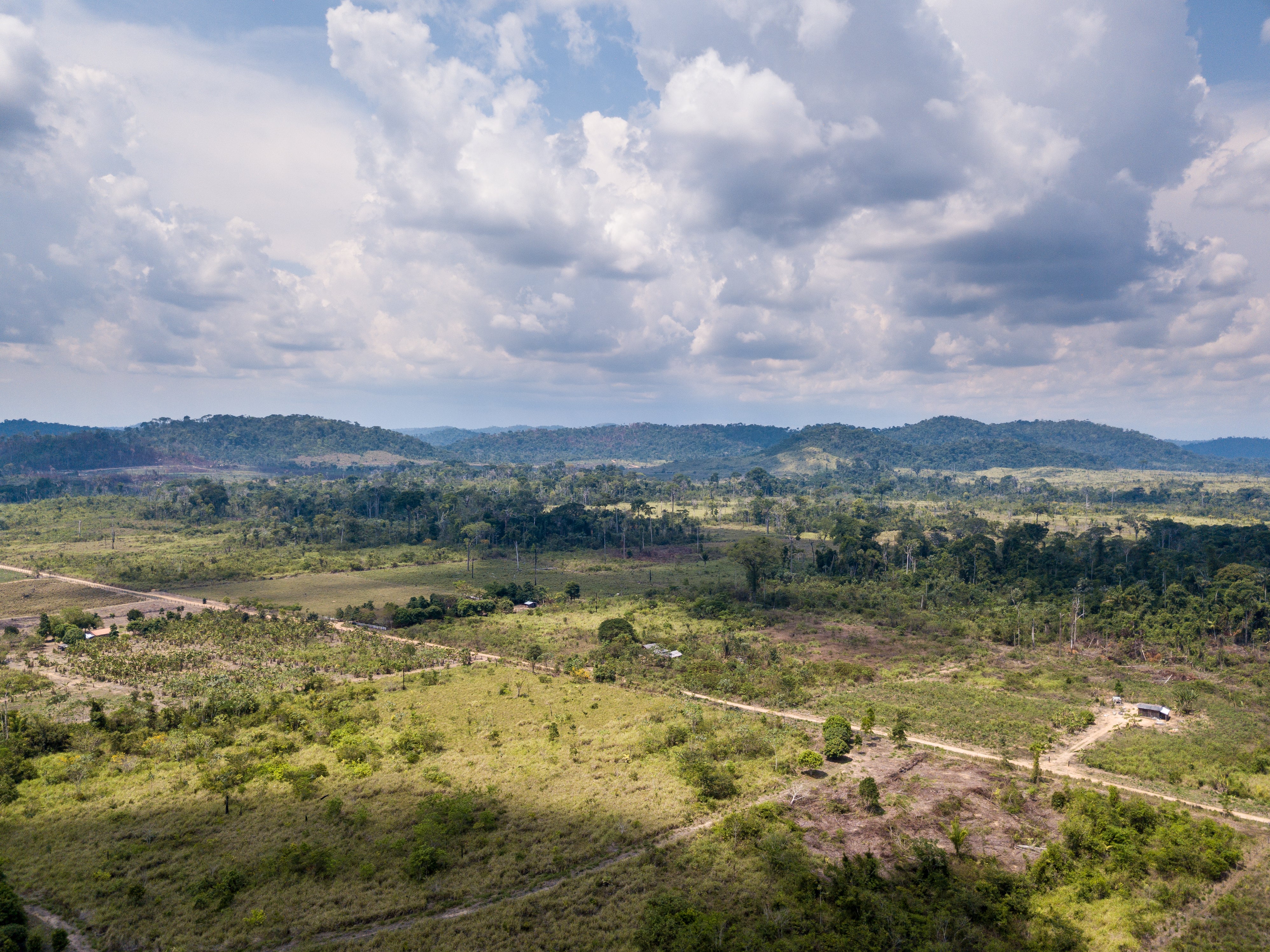 Terra Nossa settlement, where illegal logging takes place, September 30, 2019.