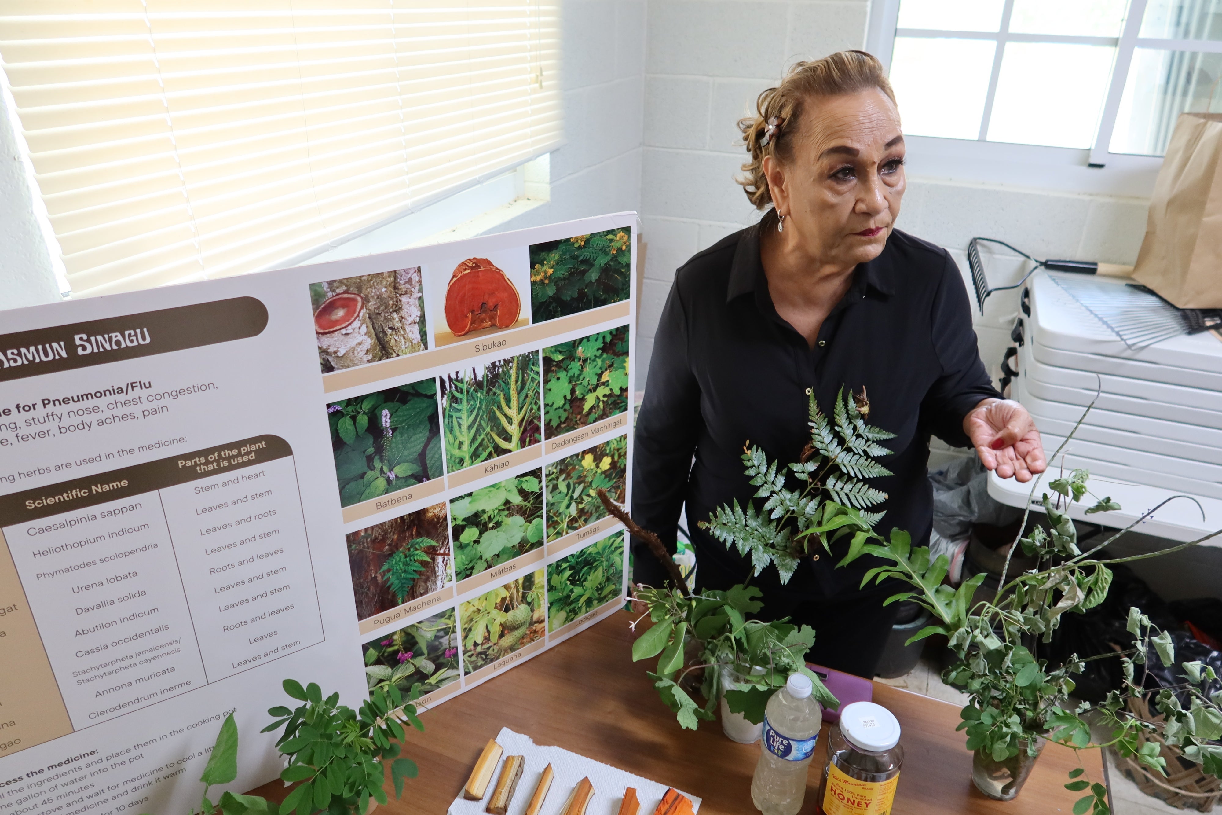 Yo’åmte Auntie Lou Manglona created a program for Indigenous medicine in conjunction with professors and academics at the University of Guam, May 2023. 