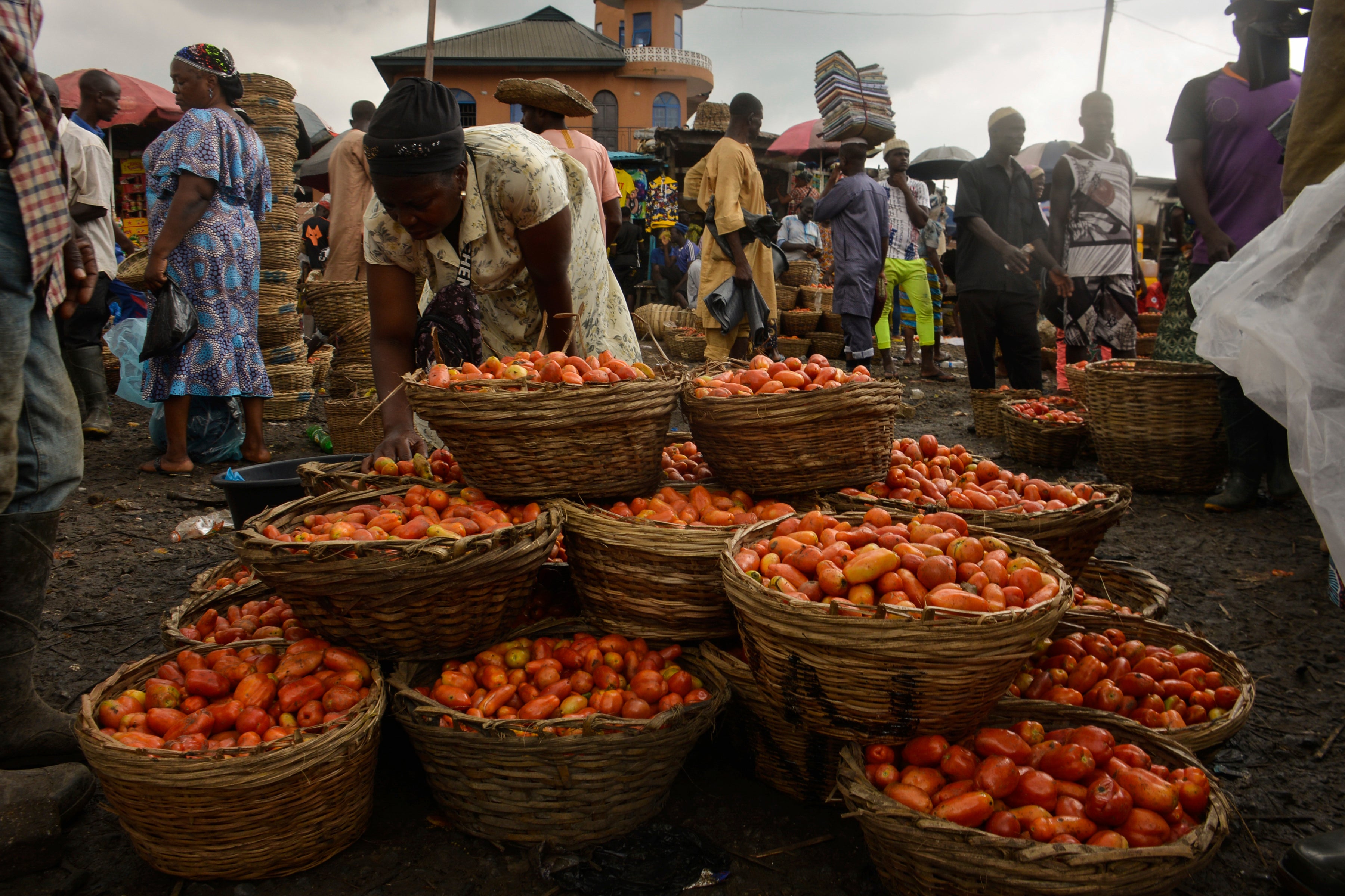 Vendors display tomatoes for sell at Mile 12 market in Lagos, Nigeria, July 7, 2021.