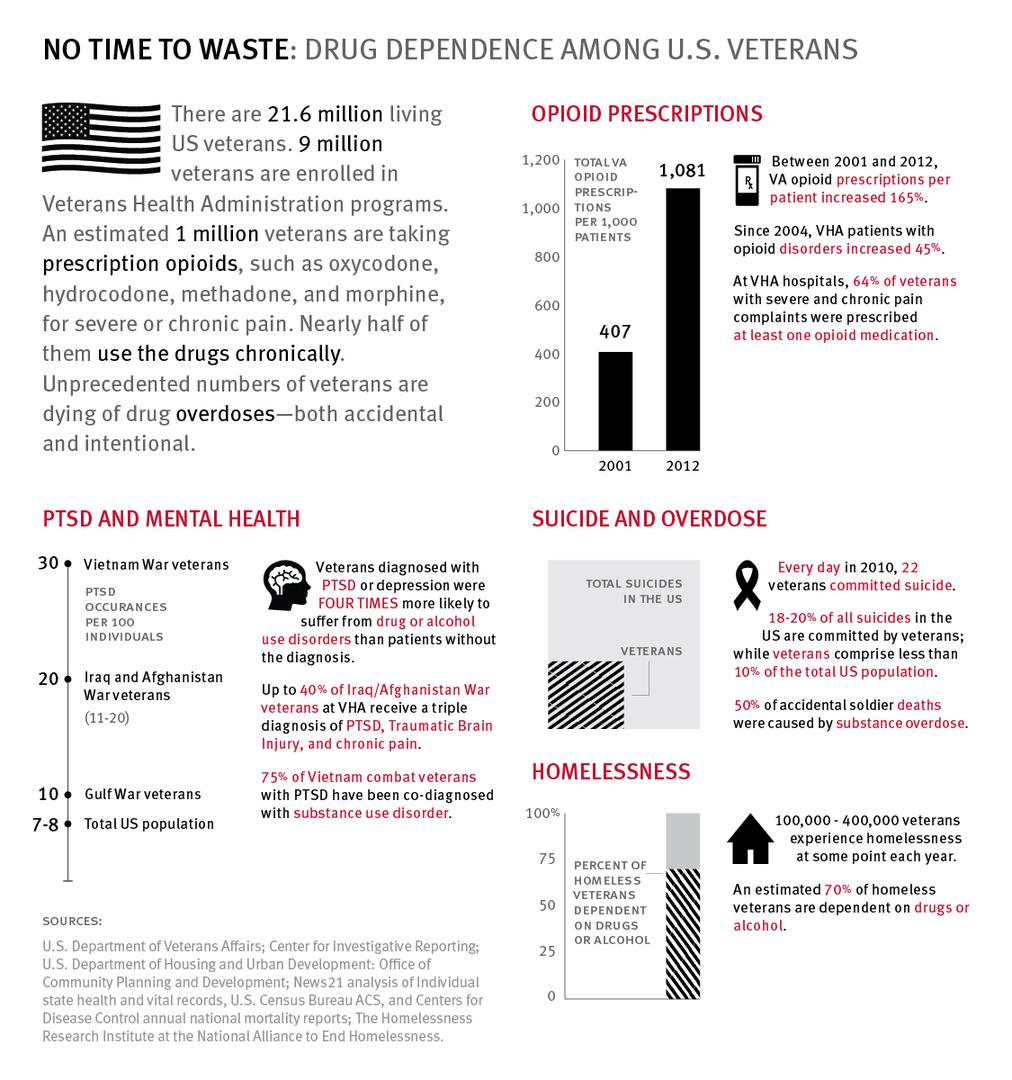 US Veterans Infographic