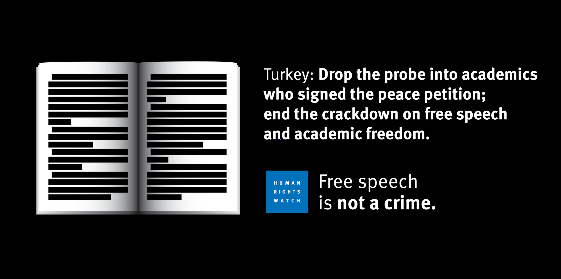 Turkey Academics Graphic