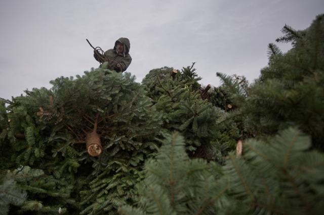 201807us_Oregon_Oped