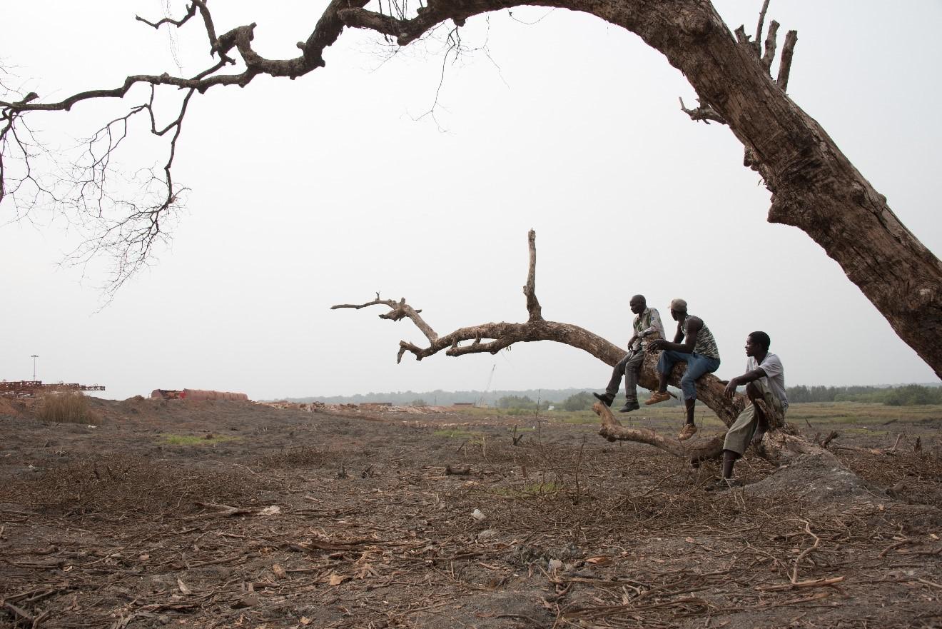 Farmers from Dapilon village, in the Boké region, look out over land, on the banks of the River Nunez, cleared for the construction of a mining port belonging to the La Société Minière de Boké consortium.