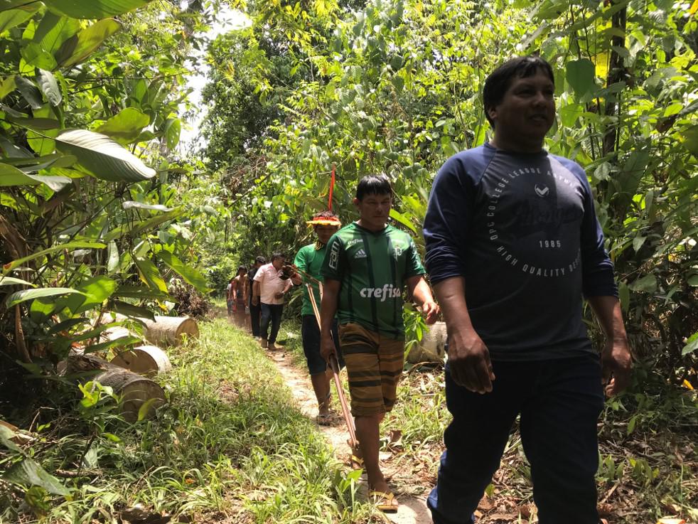 201903americas_brazil_environment_kaapor_pt