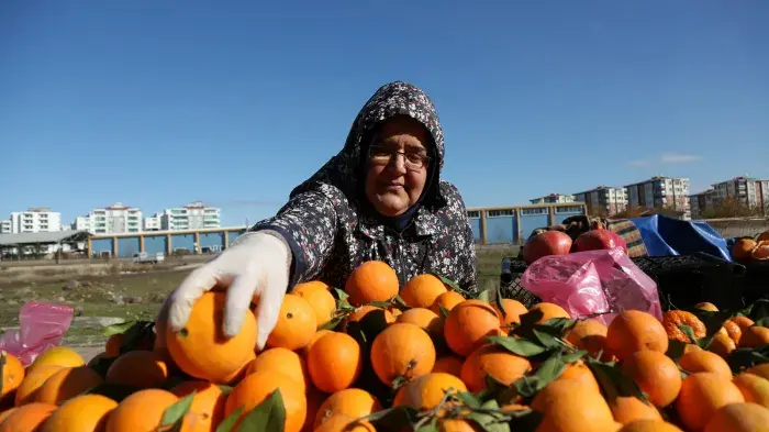 Street vendor arranges oranges at her stall in a women-led street market.