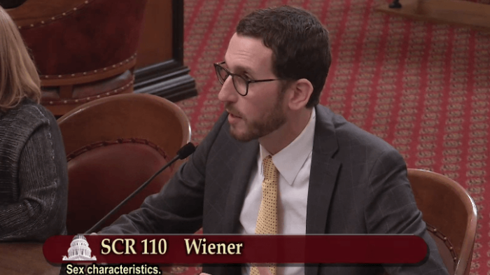 Senator Scott Wiener, who introduced Senate Concurrent Resolution 110, testifying before the California Senate Judiciary Committee on May 1, 2018. 