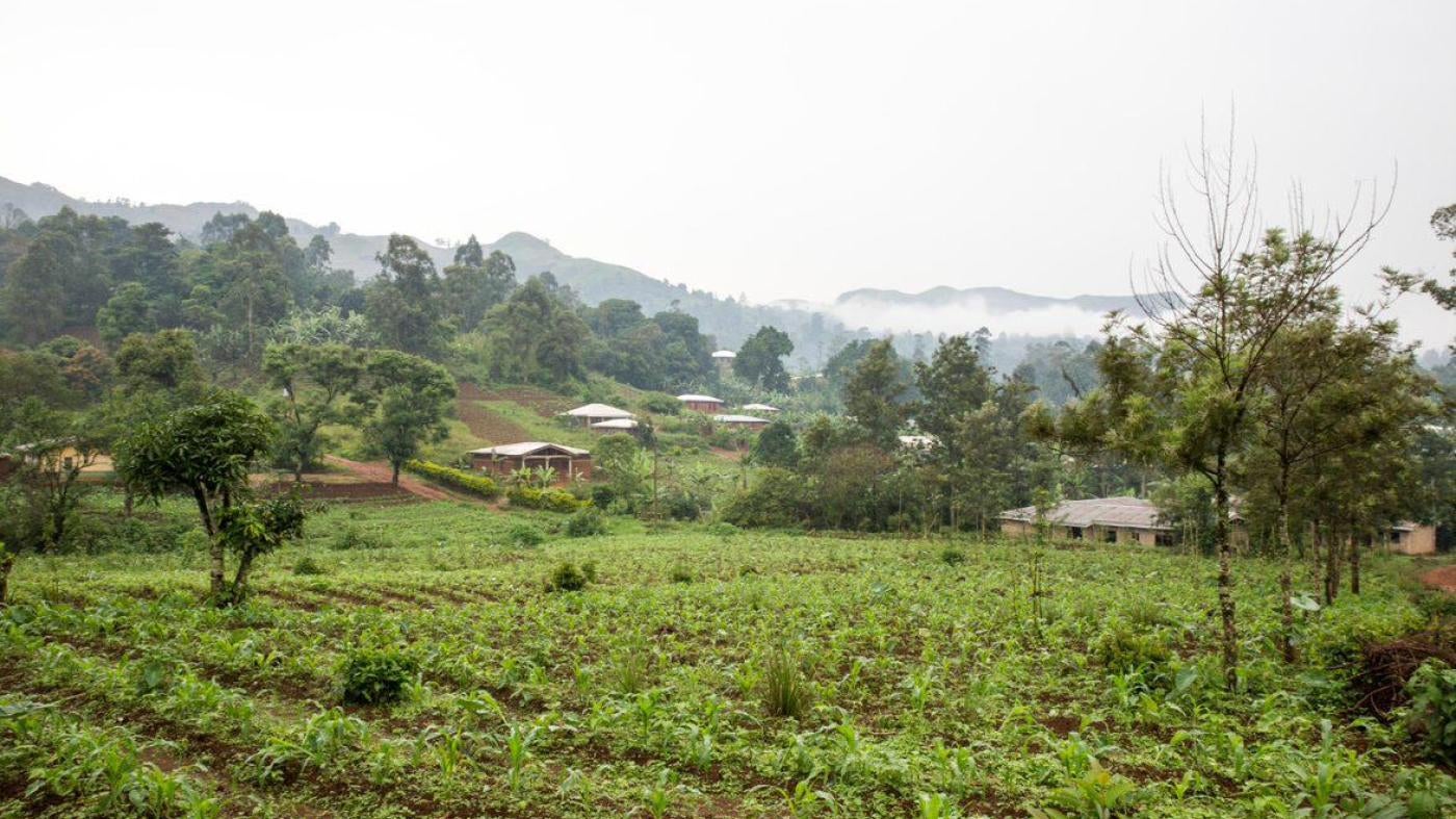 Abandoned fields in the center of Belo following early April clashes between security forces and armed separatists, North West region, April 2018.