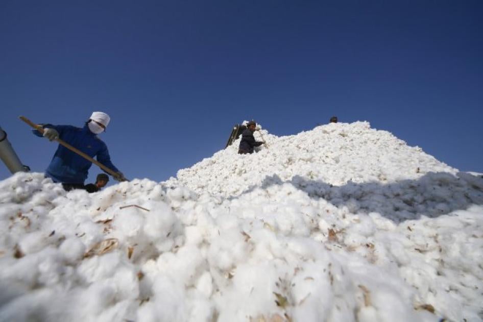 People work amidst massive piles of cotton in China's Xinjiang province. 