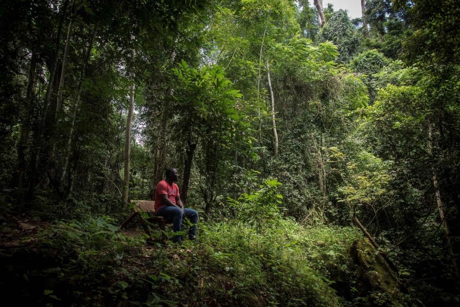 A man sits in a forest