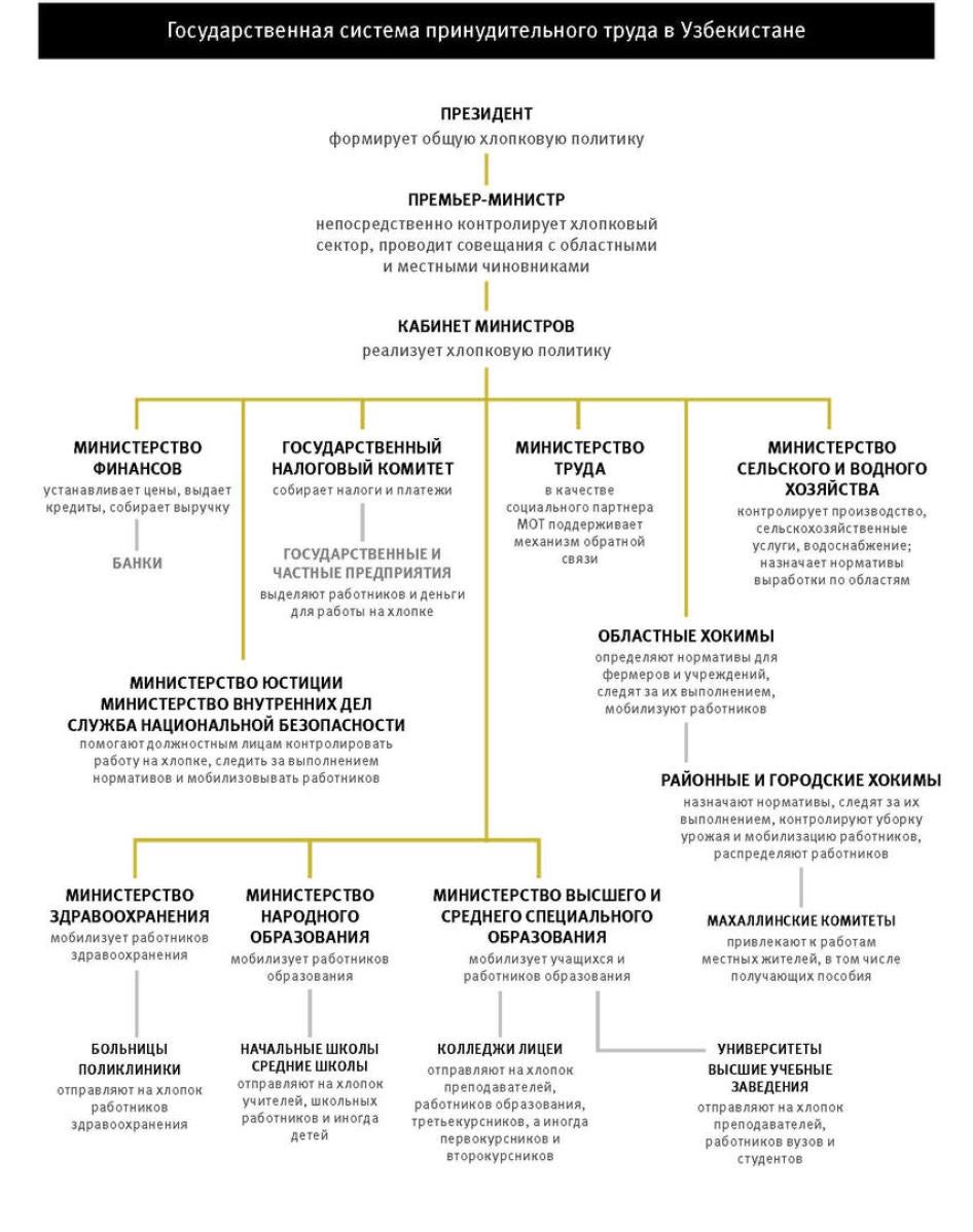 Государственная система принудительного труда в Узбекистане