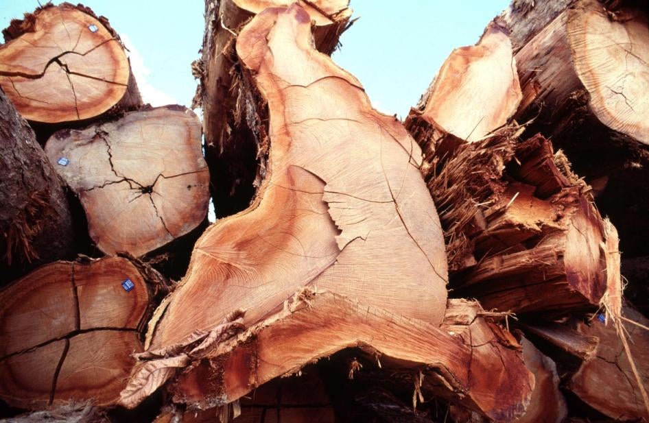 Illegal logging seized by IBAMA, Brazilian Institute of Environment and Renewable Natural Resources. Amazon, Brazil.