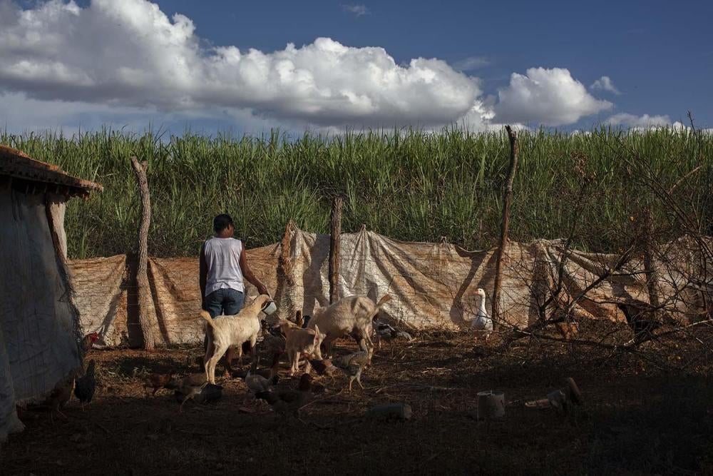 201807americas_brazil_pesticides12