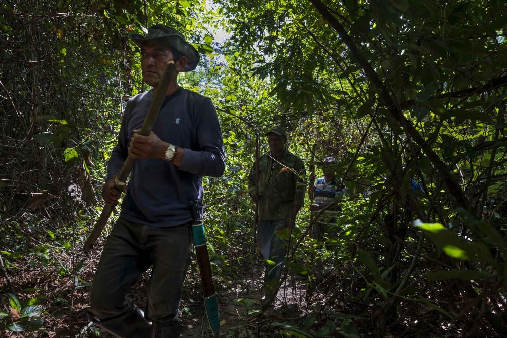 202001AME_Brazil_photo01