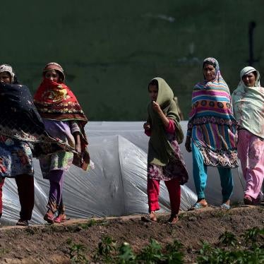 Women arrive at an agricultural farm