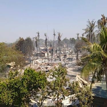 aerial shot of charred houses