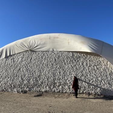 Raw cotton stored at the Oltin Tola Boston cooperative storage facility in Ellikkala district, Republic of Karakalpakstan, Uzbekistan. November 30, 2023. 