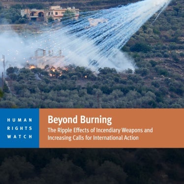 Report cover in English