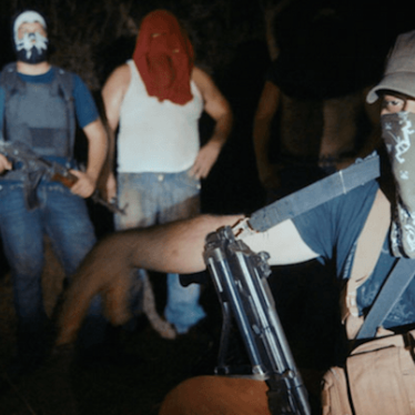 Cartel land