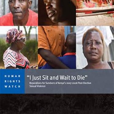 Cover image for Kenya report