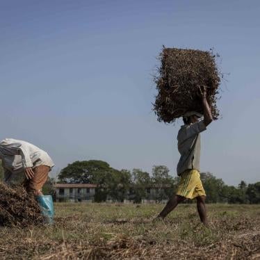 201807asia_burma_myanmarland5