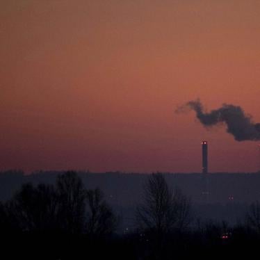 German coal-fired power plant towers visible before dawn. 